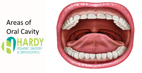 What is Frenulum of Tongue? - Hardy Pediatric Dentistry & Orthodontics