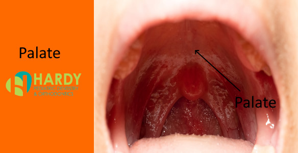 healthy tongue underside